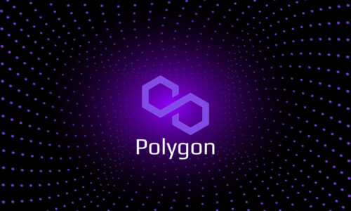 You can buy Polygon today, the biggest top 20 winner: here’s where