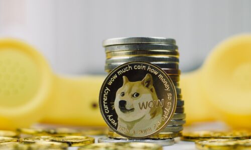 Dogecoin still gaining on Musk tweet, up 7% in 24 h: here’s where to buy Dogecoin