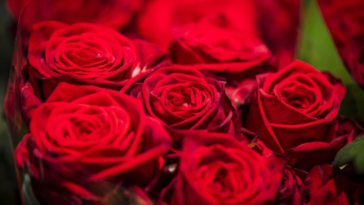 The Best Online Flower and Plant Delivery Services to Gift This Valentine’s Day