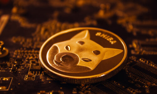 Shiba Inu price jumps 50% over the past week: What is fueling the rally?