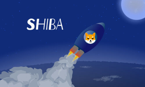 Shiba Inu rallies after Foxbit listing