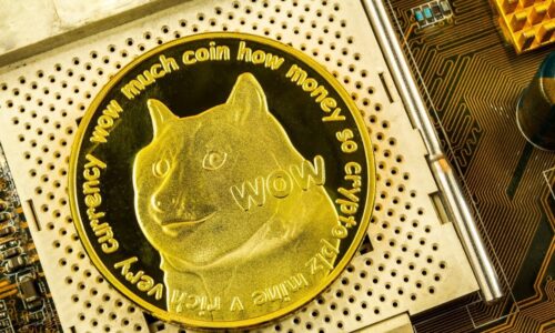 Best places to buy Dogecoin, the reigning champion of dog-themed meme coins