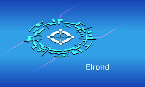 You can now buy Elrond, which added a tenth to its value: here’s where