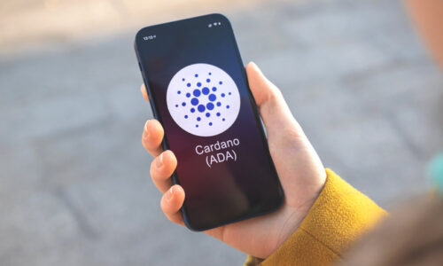 3.41 million Cardano addresses reportedly red as ADA price continues to fall towards the $1 level