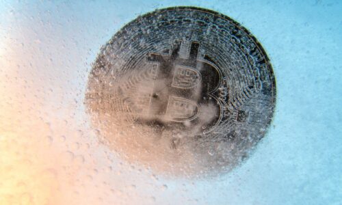 Pro explains why current crypto winter is different than prior bear cycles