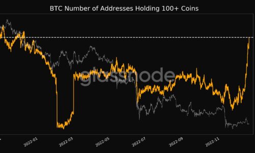 Bitcoin addresses with 100+ coins reach new one-year high