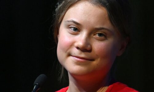 Key Words: Read Greta Thunberg’s killer comeback to former kickboxer Andrew Tate’s tweet about his ‘enormous emissions’