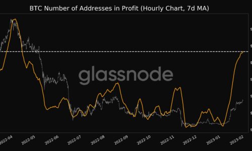 30 million Bitcoin addresses in profit as metric hits 9-month high