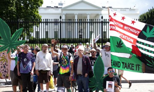 : Cannabis industry’s spending on Washington lobbying hits record