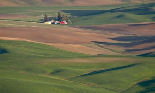 How a Tiny Bank in a Washington Farming Town Got Tangled Up With FTX