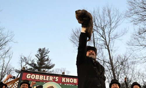 : The groundhog saw its shadow. Historically, that is bad news for stocks.