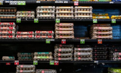 Earnings Results: Cal-Maine Foods profit jumps eightfold, sales more than double as egg prices rise