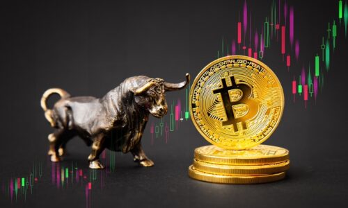 Bitcoin surges above $30,100: here are the driving factors