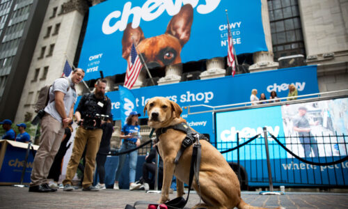 Chewy shares surge after earnings beat on top and bottom lines