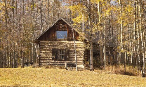 What It’s Like To Retire In A Cabin In The Woods: Minimalism FIRE