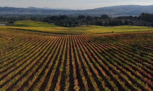 Market Extra: Duckhorn to buy Sonoma-Cutrer Vineyards for $400 million