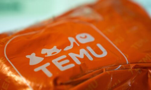 The Rise of Temu’s Chinese Parent Will Reshape E-Commerce