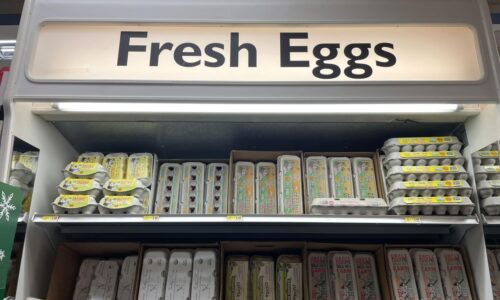 Cal-Maine stock drops, as lower egg prices hit quarterly results