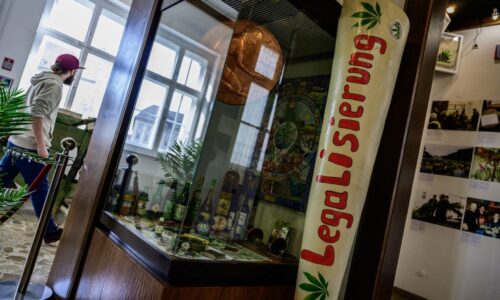 Cannabis stocks rise as Germany takes ‘first big step’ toward broader legalization in Europe 