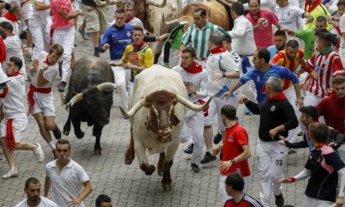 Bulls are charging through the stock market with surprising strength and speed