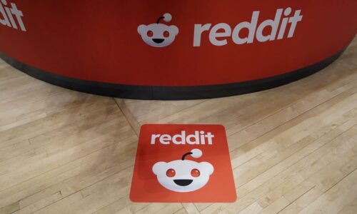 Reddit’s story hinges on ‘promises we’ve heard too many times,’ a new bear says