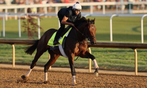 Betting on the Kentucky Derby? Here’s how to think like a professional handicapper.