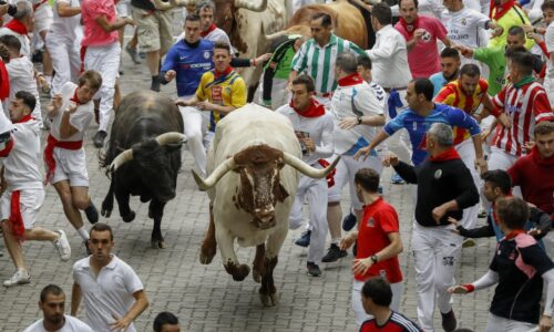 Stock buyers are keeping S&P 500 momentum strong and volatility low — for now