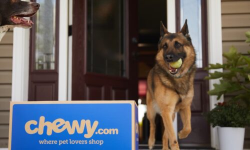 Chewy’s stock slides one day after Roaring Kitty’s cryptic dog post