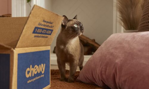 Chewy’s stock skyrockets as Roaring Kitty’s 6.6% stake is disclosed