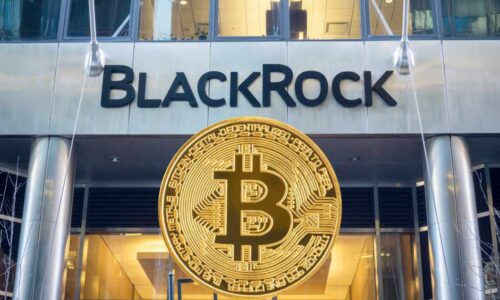 BlackRock CEO says Bitcoin is an opportunity: Bullish for Bitcoin Dogs?